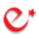 E-visa Logo